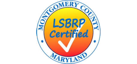 LSBRP